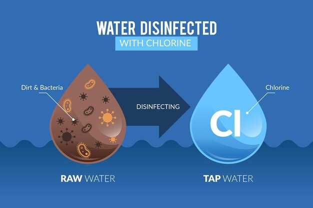 Unveiling the Distinctions