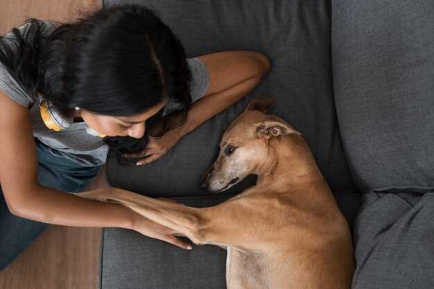 Administering Medication to Canine Companions