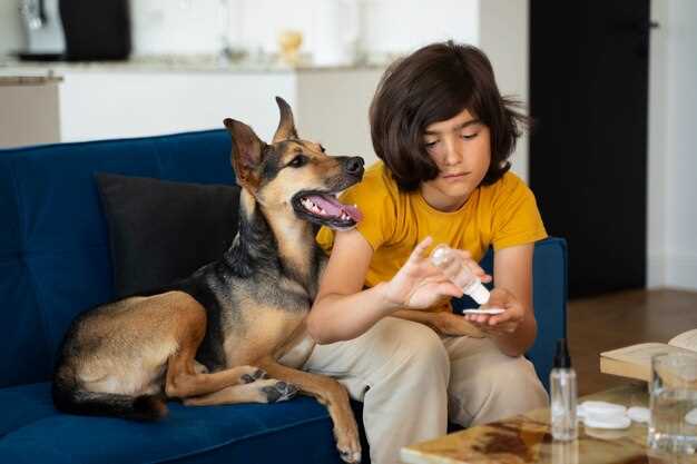 Understanding Your Furry Companion's Needs