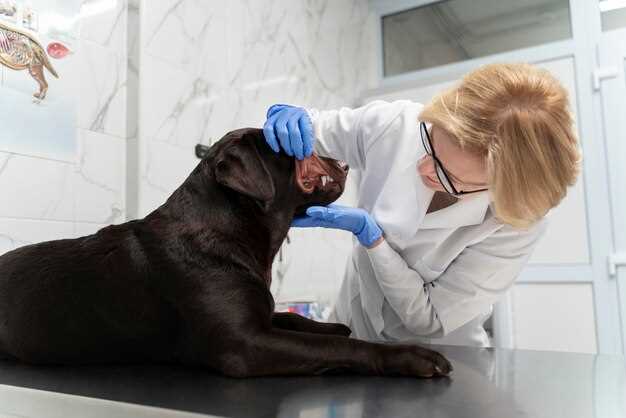 About Canine Muscle Relaxant Dosing