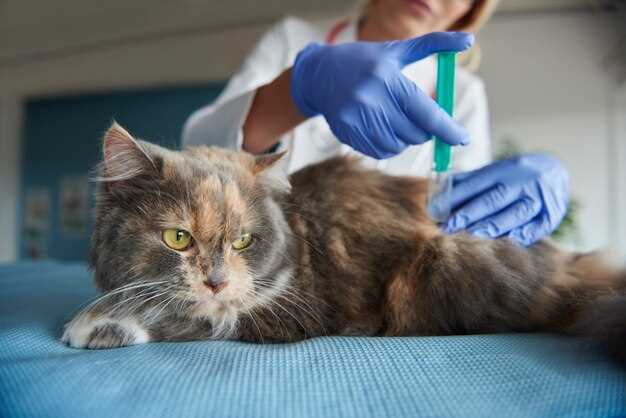 About Muscle Relaxant for Cats