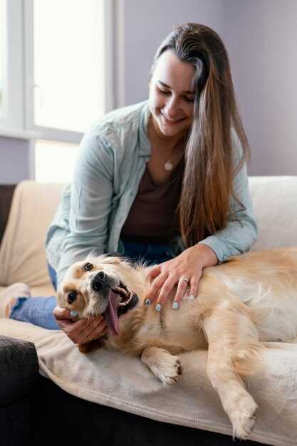 Understanding Joint Pain in Canines