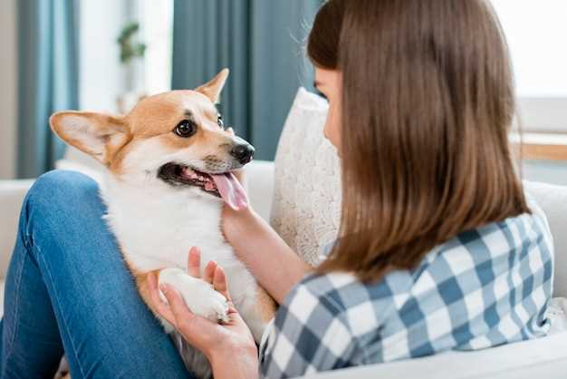 Methocarbamol 500 mg use in dogs