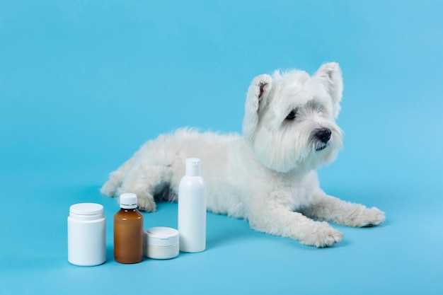 Methocarbamol 750 mg for dogs