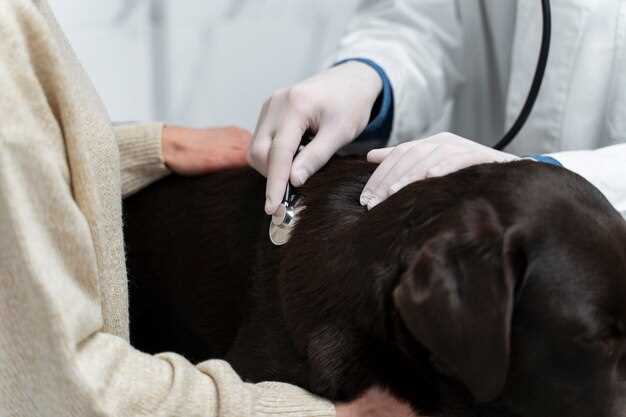 Methocarbamol and seizures in dogs