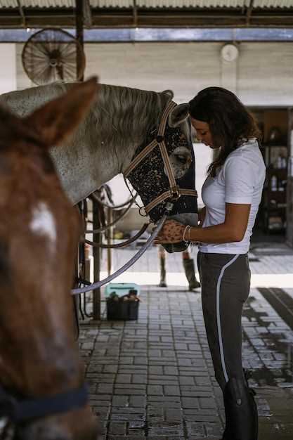 Methocarbamol dosage horses