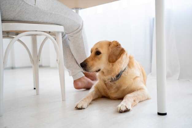 Methocarbamol dose dogs