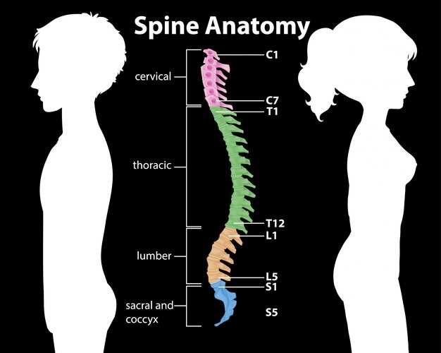 Methocarbamol spinal stenosis