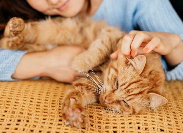 Methocarbamol use in cats