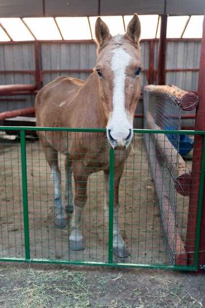 Side effects of methocarbamol in horses